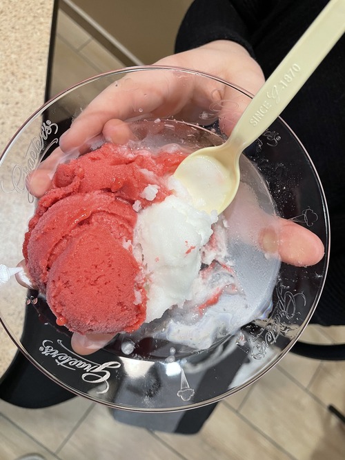 Graeters-sorbet