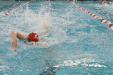 THS Swimmers Compete at State